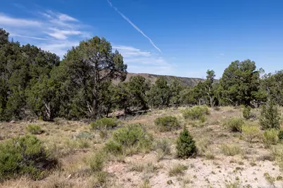 4 La Sal Pass Spur, Moab, UT 84532 - Photo 14