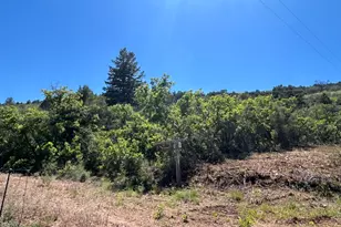 1039 Lewis Dr, Tabiona, UT 84072 - Photo 22