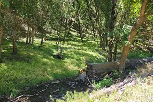 [Address not provided], Morgan, UT 84050 - Photo 1