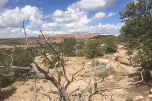 187 S Bridger Jack Trl, Moab, UT 84532 - Photo 1