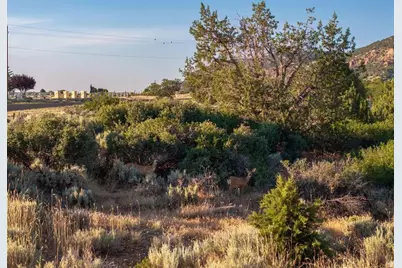 1463 S Old Highway 91 #1, New Harmony, UT 84757 - Photo 6