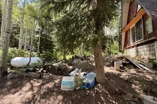 12498 E Wilderness Rd, Brighton, UT 84121 - Photo 14