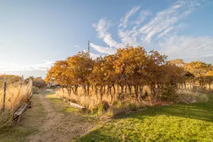 626 S 690E, Santaquin, UT 84655 - Photo 42