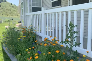 12212 S 800 E, Avon, UT 84328 - Photo 50