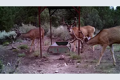 1955 W Mammoth Creek Rd, Hatch, UT 84735 - Photo 52