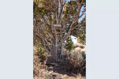 1955 W Mammoth Creek Rd, Hatch, UT 84735 - Photo 20