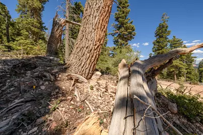 5150 W North Rd, Duck Creek Village, UT 84762 - Photo 38