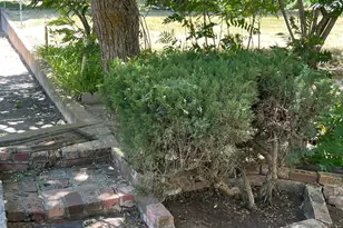 3891 S Grandview Dr E, Ogden, UT 84403 - Photo 30