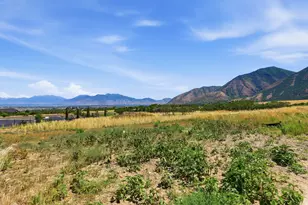 550 W Autumn Blaze, Woodland Hills, UT 84653 - Photo 2