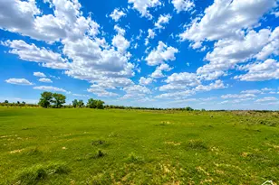 1745 N 11000 W, Bluebell, UT 84007 - Photo 12
