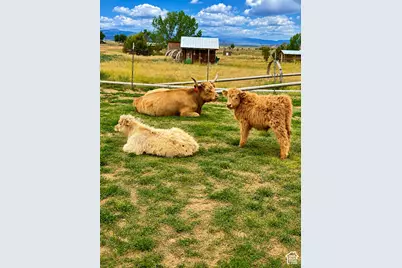 1745 N 11000 W, Bluebell, UT 84007 - Photo 4