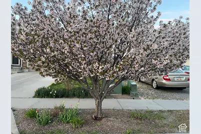 501 W 670 N, Tooele, UT 84074 - Photo 8