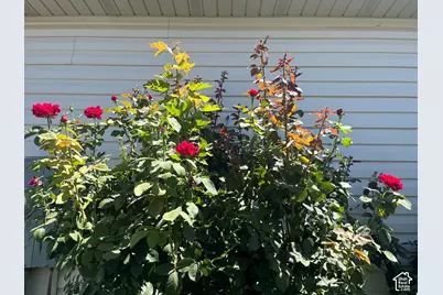 501 W 670 N, Tooele, UT 84074 - Photo 16