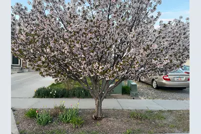 501 W 670 N, Tooele, UT 84074 - Photo 6