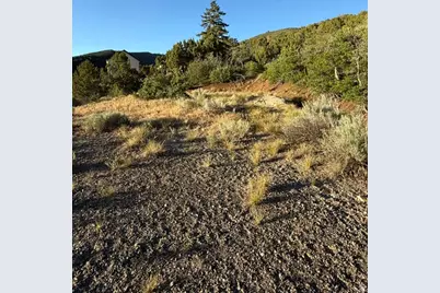 94 Juniper Dr #M94, Fairview, UT 84629 - Photo 6