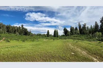 14065 E Birch Crk #D56, Fairview, UT 84629 - Photo 18