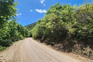 14065 E Birch Creek, Fairview, UT 84629 - Photo 1