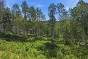3897 S Blue Spruce Dr, Heber City, UT 84032 - Photo 44