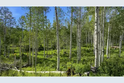 3897 S Blue Spruce Dr #1851, Heber City, UT 84032 - Photo 46