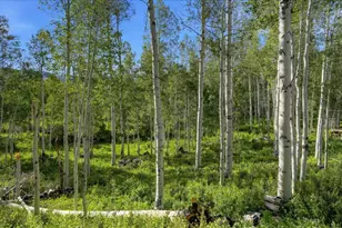 3897 S Blue Spruce Dr, Heber City, UT 84032 - Photo 46