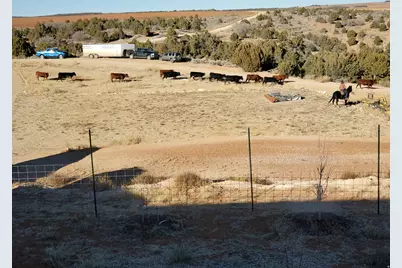 1251 S Eastland Rd, Monticello, UT 84535 - Photo 58