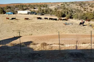 1251 S Eastland Rd, Monticello, UT 84535 - Photo 58