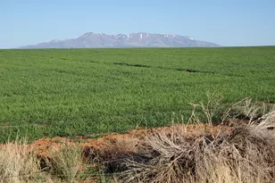 1251 S Eastland Rd, Monticello, UT 84535 - Photo 60