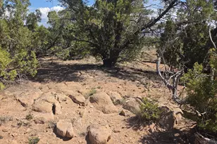 [Address not provided], Fruitland, UT 84027 - Photo 1