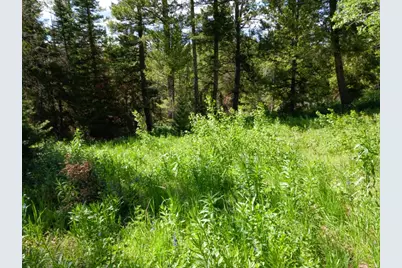 Baxter Sawmill Rd E, Hyrum, UT 84319 - Photo 8