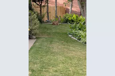 2148 S Carolyn Way, Bountiful, UT 84010 - Photo 50