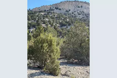 [Address not provided], Salina, UT 84654 - Photo 6
