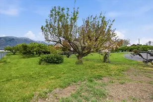 10330 N 5200 W, Elwood, UT 84337 - Photo 40