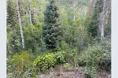 819 North Fork Rd #819, Mount Pleasant, UT 84629 - Photo 1
