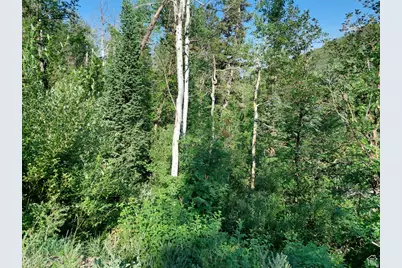 819 North Fork Rd #819, Mount Pleasant, UT 84629 - Photo 6