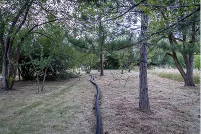 435 Canyon Rd, Providence, UT 84332 - Photo 70