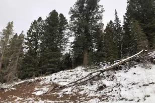 [Address not provided], Coalville, UT 84017 - Photo 1