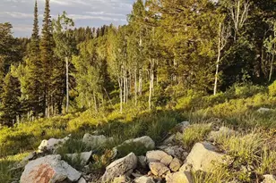 4879 E 3525 N, Eden, UT 84310 - Photo 12
