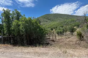 33980 N 10890 E, Fairview, UT 84629 - Photo 18