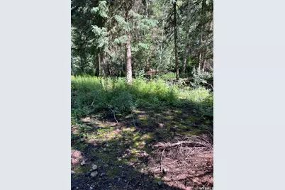 9162 E Laurel Ln, Brighton, UT 84121 - Photo 6