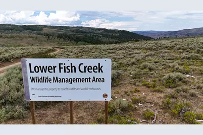 123 Tbd Beaver Creek Rd, Helper, UT 84526 - Photo 40