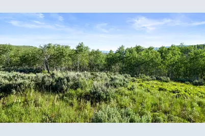 17017 Ant Flat Rd, Avon, UT 84328 - Photo 88