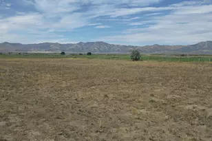 47 W Larson Rd, Vernon, UT 84080 - Photo 34