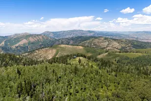 0, Paradise, UT 84328 - Photo 62