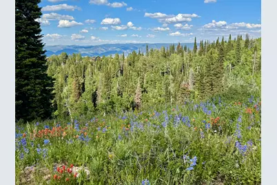 0, Paradise, UT 84328 - Photo 68
