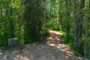 5958 Bull Moose Rd, Woodland Hills, UT 84036 - Photo 16