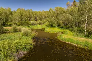 5958 Bull Moose Rd, Woodland Hills, UT 84036 - Photo 6