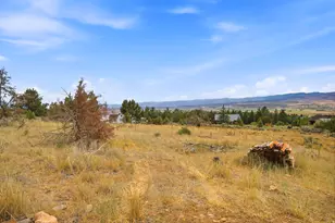 22485 N Spring View Dr, Fairview, UT 84629 - Photo 44