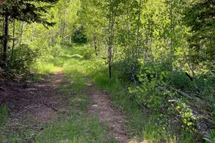 0, Hyrum, UT 84319 - Photo 18
