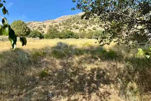 1172 N Circle View Dr, Logan, UT 84341 - Photo 48