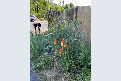 5101 Emigration Canyon Rd, Salt Lake City, UT 84108 - Photo 2